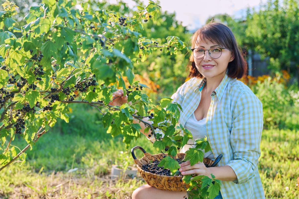 Smiling middle aged woman holding a basket of grapes